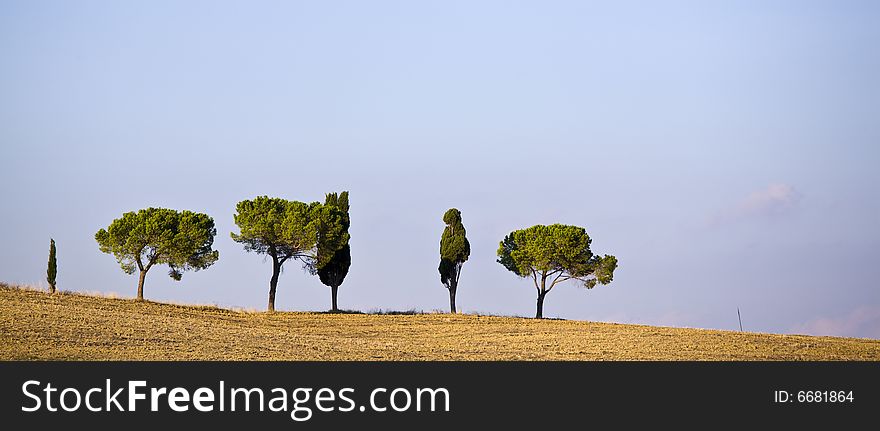 Tuscan Countryside