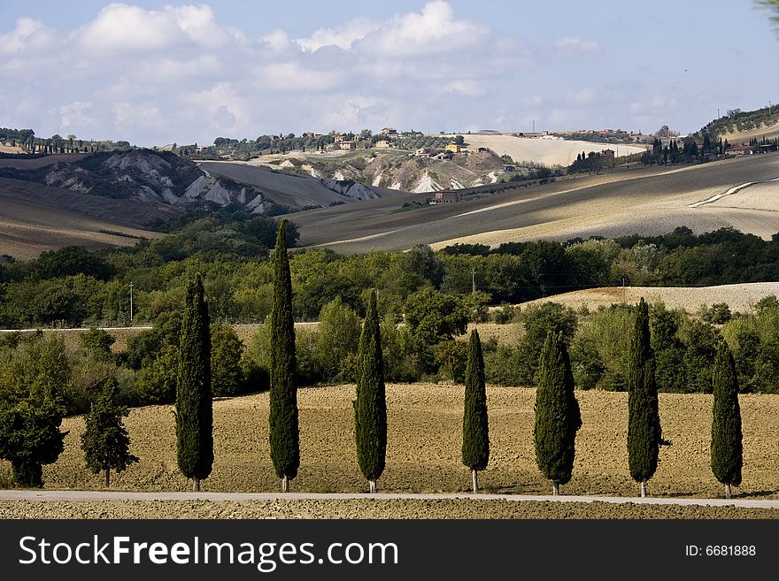 Image of a relaxing landscape in Tuscan with cypress. Image of a relaxing landscape in Tuscan with cypress