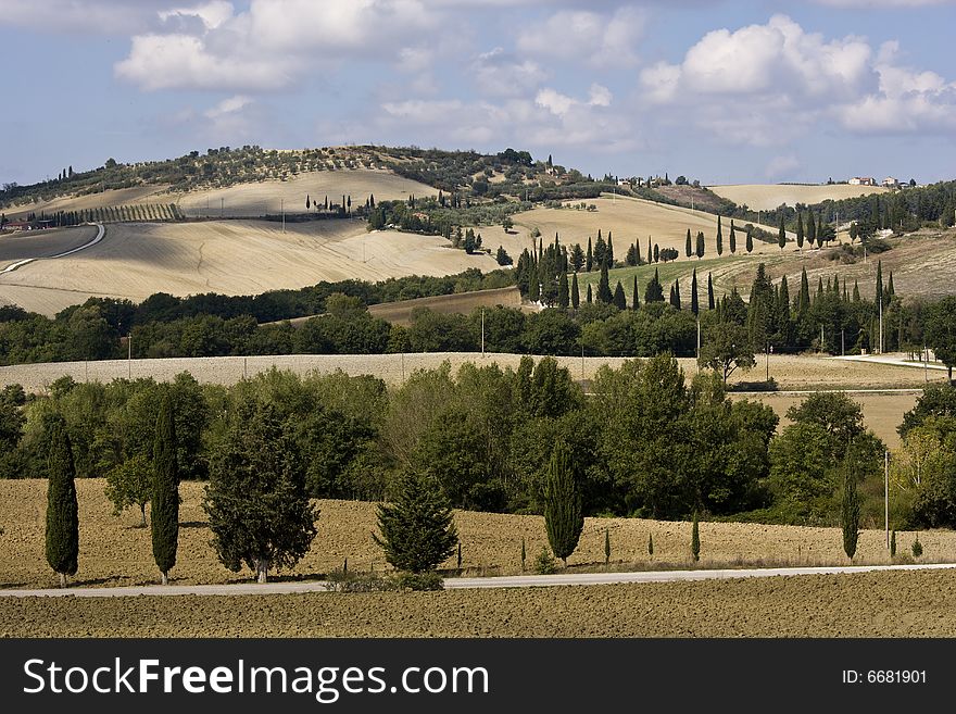 Tuscan Landscape