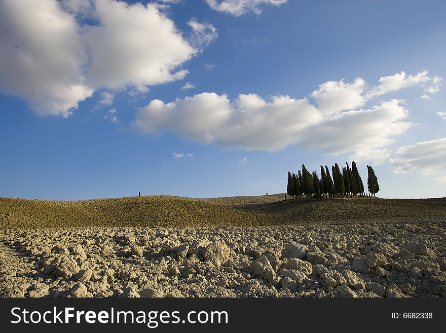 Tuscan Landscape. Val D'Orcia, Tuscany, Italy.