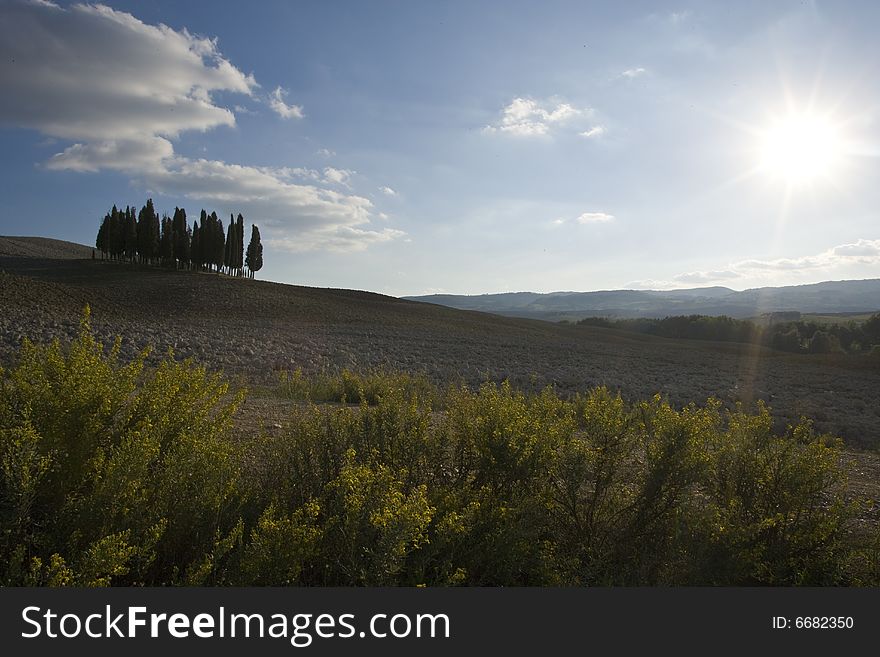 Tuscan Landscape. Val D'Orcia, Tuscany, Italy.