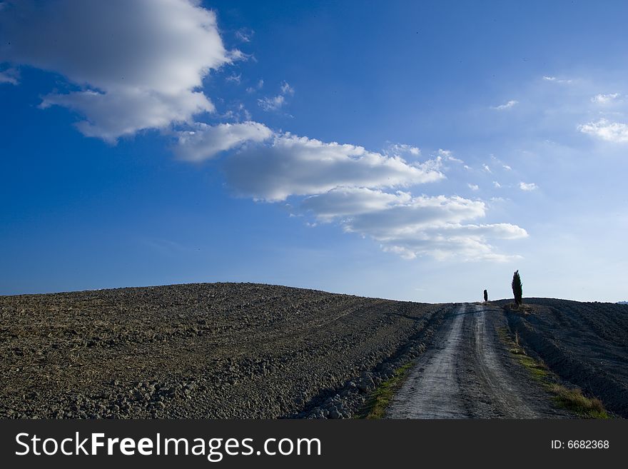 Tuscan Landscape