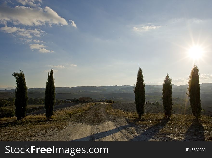 Image of a relaxing landscape in Tuscan with cypress. Image of a relaxing landscape in Tuscan with cypress