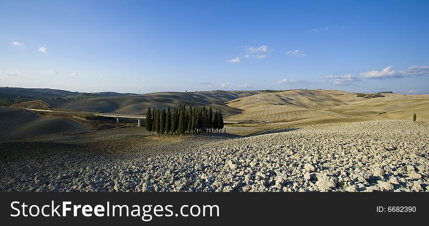 Tuscan Landscape. Val D'Orcia, Tuscany, Italy.