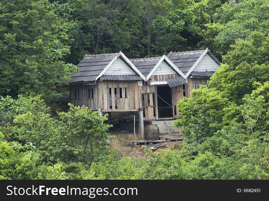 Three old shacks in a lush forest, falling apart. Three old shacks in a lush forest, falling apart