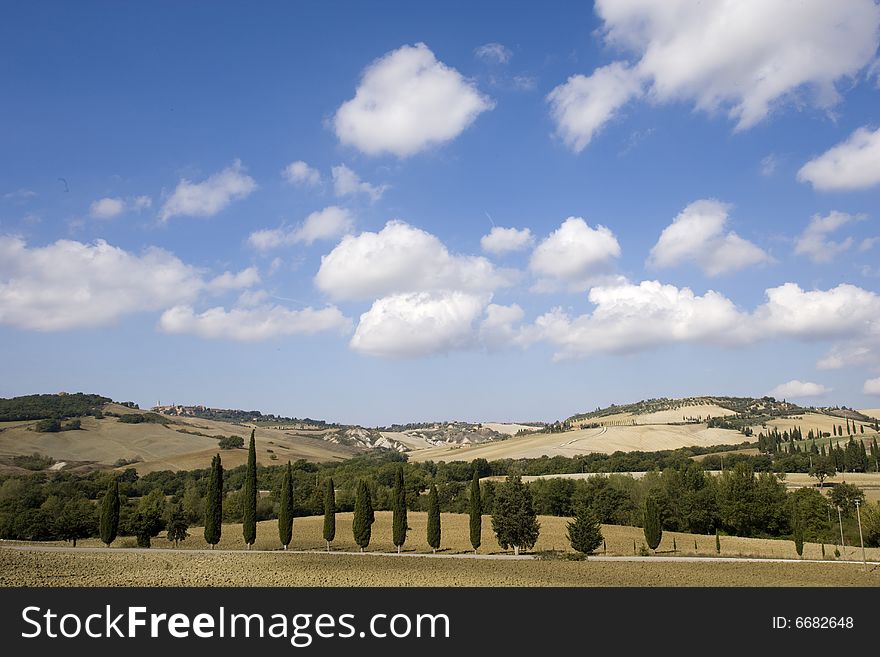 Image of Typical tuscan landscape, fields and hills