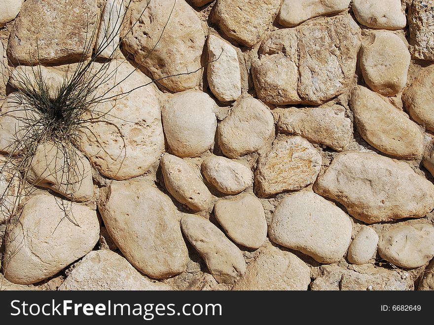 Stone wall with a plant sprouting between stones. Stone wall with a plant sprouting between stones