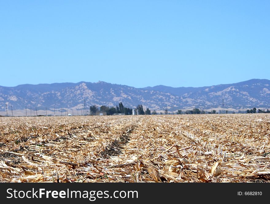 Empty cornfield after the recent fall harvest