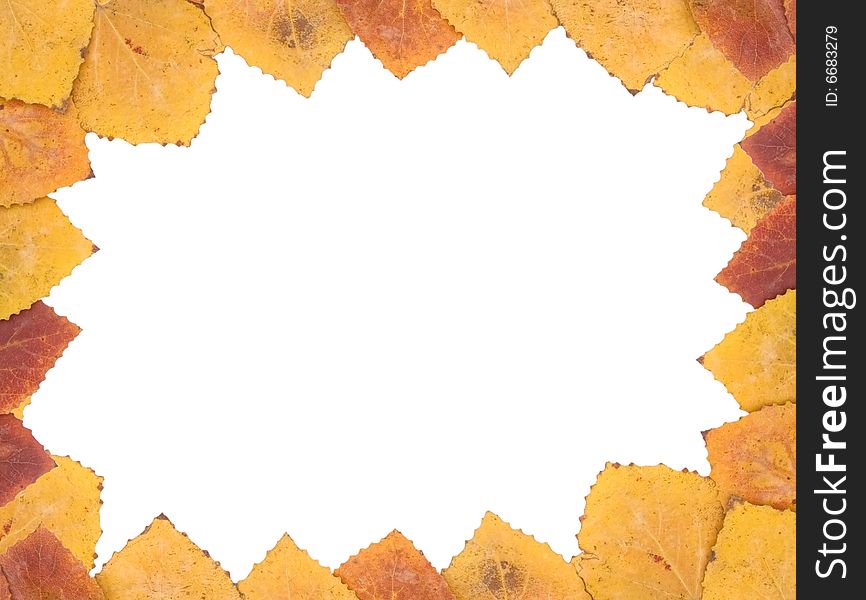 Frame From Autumn Leaves