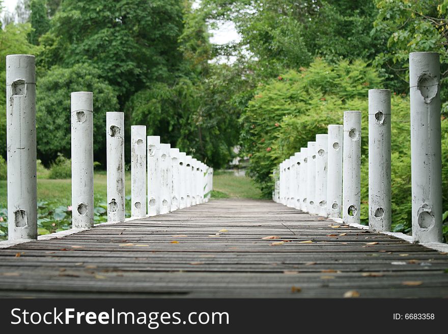 Wood bridge in the park with wide angel camera