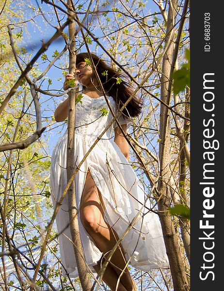 Beauty young girl on the tree in white dress. Beauty young girl on the tree in white dress