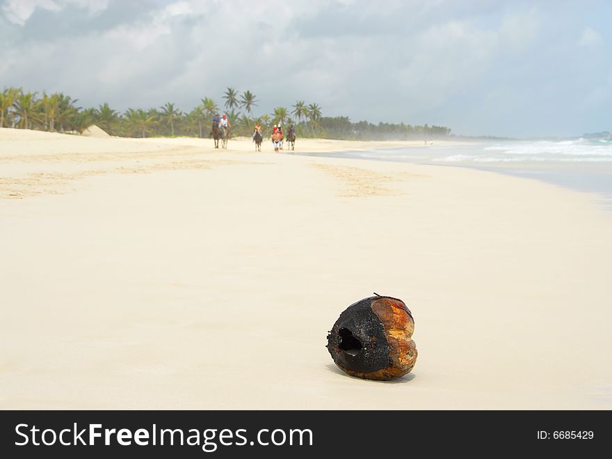 A coco on the sand of a tropical beach. A coco on the sand of a tropical beach