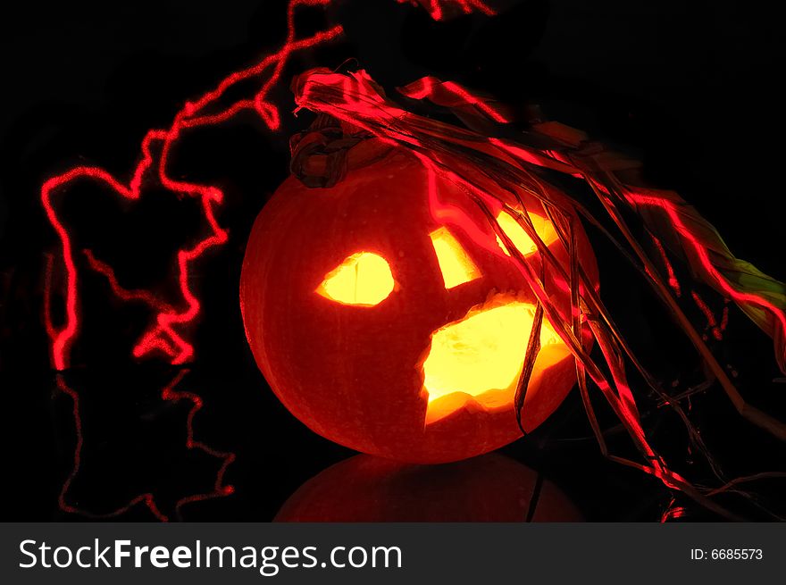 Pumpkin halloween  on black background