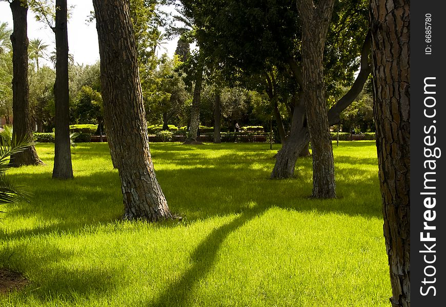 Green beauty park in  Morocco, Marrakesh. Sunny summer day. Green beauty park in  Morocco, Marrakesh. Sunny summer day