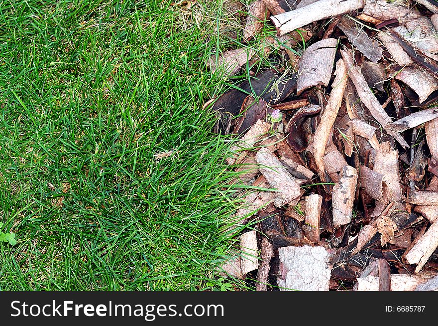 Green Grass And Bark