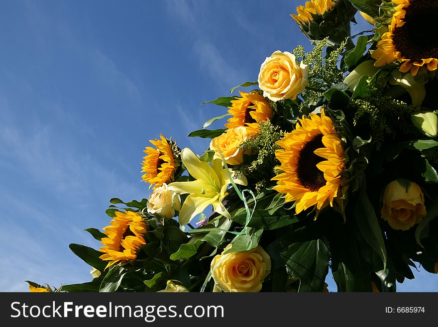 Sunflowers against the sky