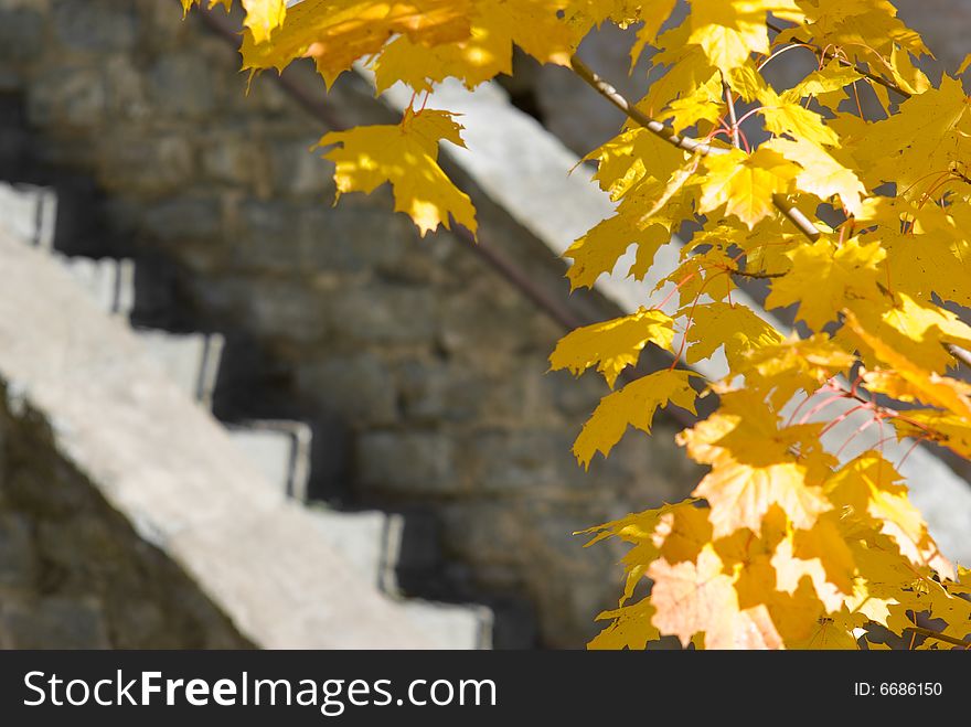 Autumn in castle. Ivangorod, Russia. Stairs in castle