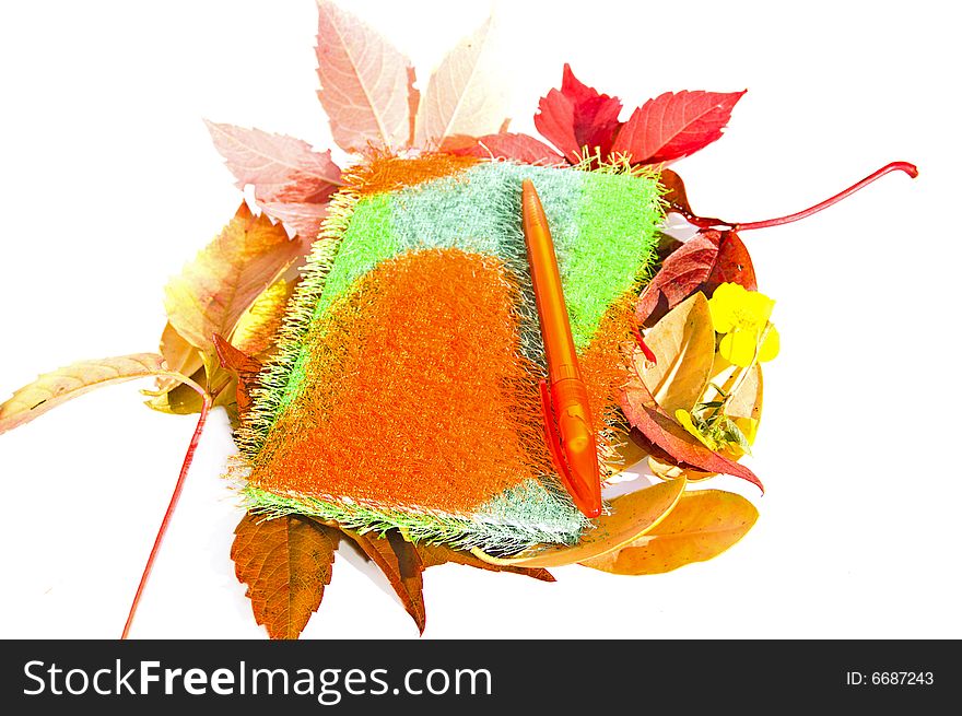 Notebook made of soft fabric with colorful pen on it and autumn leaves and flowers around it, isolated on white background. Notebook made of soft fabric with colorful pen on it and autumn leaves and flowers around it, isolated on white background