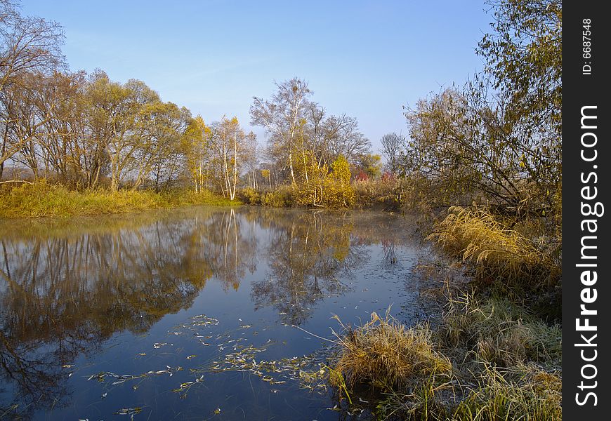 A landscape with an autumn wood lake and the first morning hoarfrost. A landscape with an autumn wood lake and the first morning hoarfrost