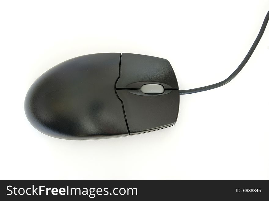 Computer Mouse