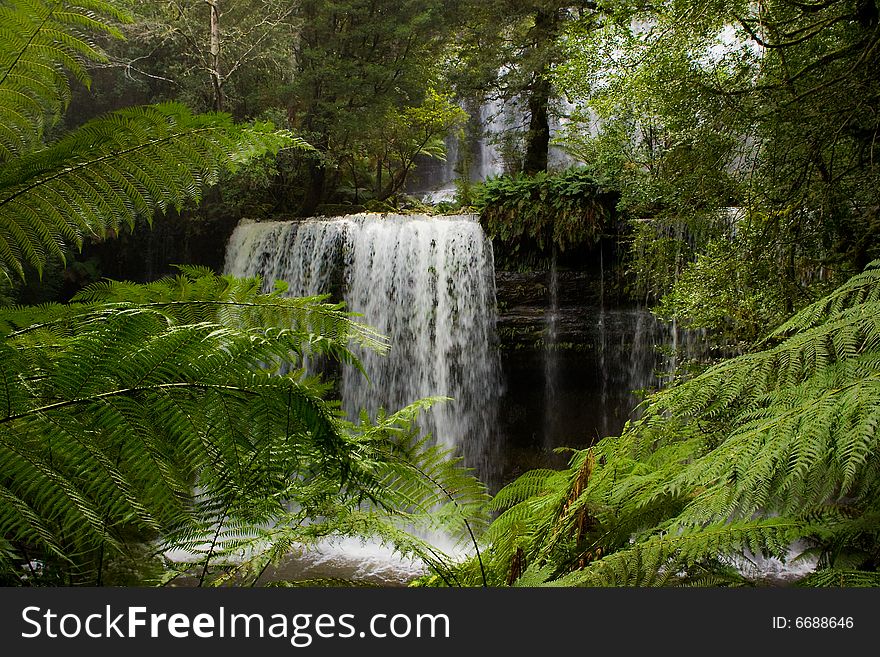 Mountain Waterfall in Tasmanian forest