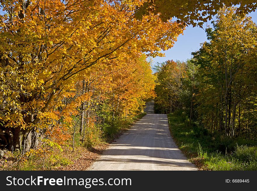 Trees with their colourful autumn leaves line a quiet country road in Ontario, Canada. Trees with their colourful autumn leaves line a quiet country road in Ontario, Canada.