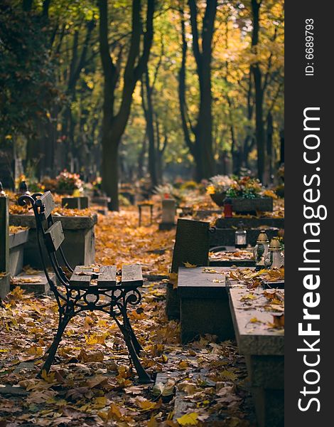 Old bench on cemetery and autumn leaves