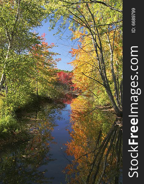 Colorful Foliage in the Fall