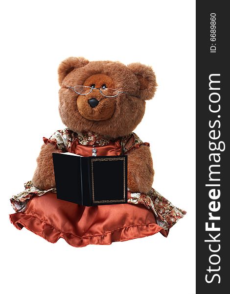 Teddy Bear with book Isolated on White