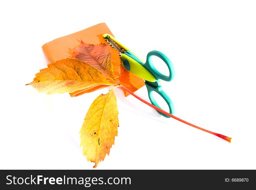 Special scissors imitated leaf of wild grape on orange paper, isolated on white background. Special scissors imitated leaf of wild grape on orange paper, isolated on white background