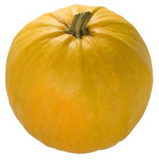 Pumpkin Royalty Free Stock Photo Pumpkin Royalty Free Stock Photo