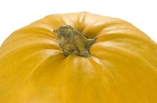Pumpkin Stock Photo Pumpkin Stock Photo