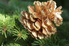 Holiday Pine Cone Royalty Free Stock Images