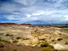 The Petrified Forest Royalty Free Stock Image
