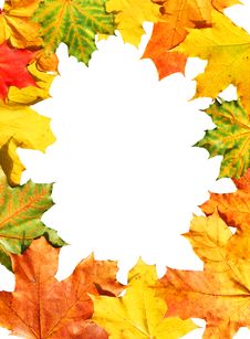 Autumnal Framework Stock Image Autumnal Framework Stock Image