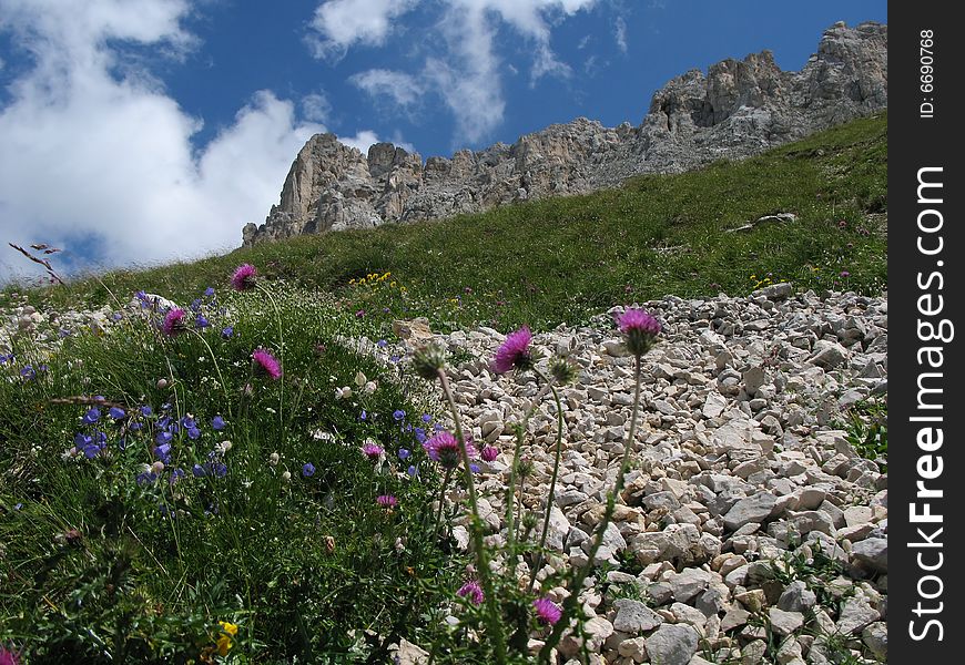 This is a view of Latemar chain (Dolomites) on a bright summer day. This is a view of Latemar chain (Dolomites) on a bright summer day