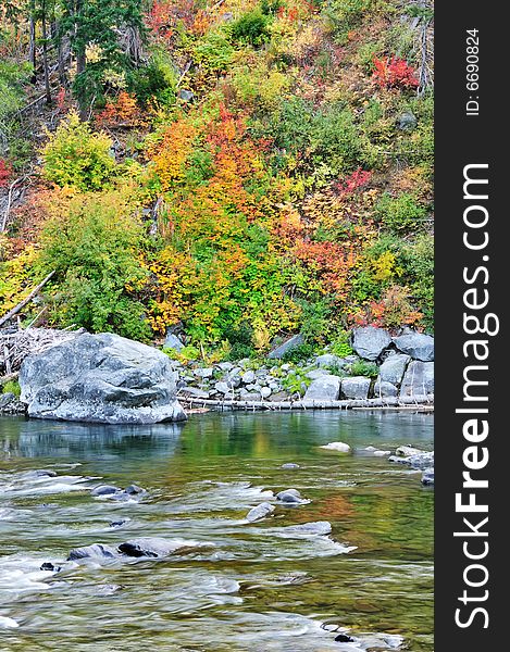 Fall Color At The River Bank