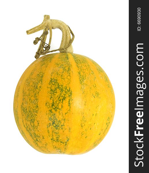 Nice decorative orange pumpkin with green stripes isolated over white with clipping path