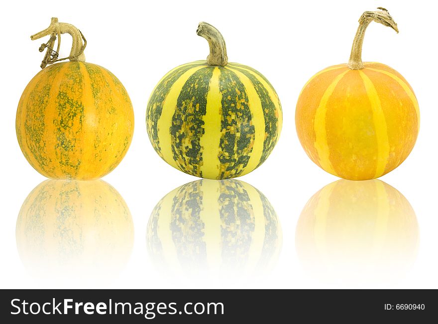 Group of the nice decorative pumpkins isolated over white with clipping path