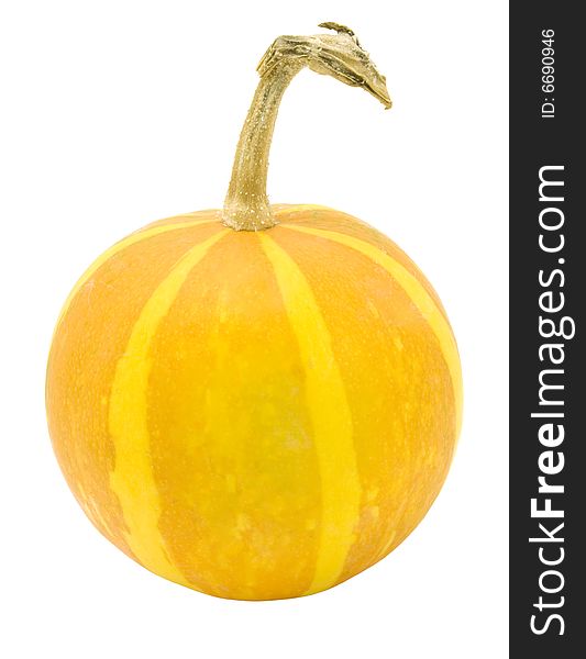 Nice decorative orange pumpkin with yellow stripes isolated over white with clipping path