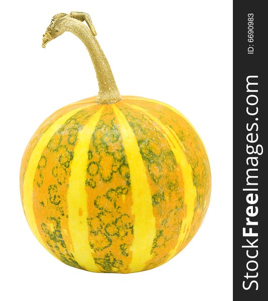 Nice decorative pumpkin with yellow stripes isolated over white with clipping path