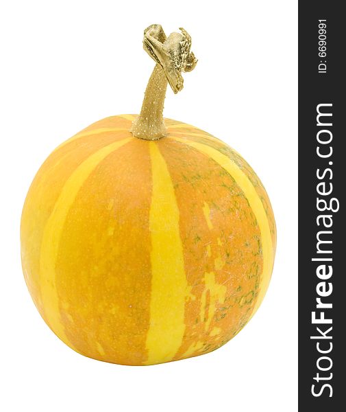 Nice decorative orange pumpkin with orange stripes isolated over white with clipping path