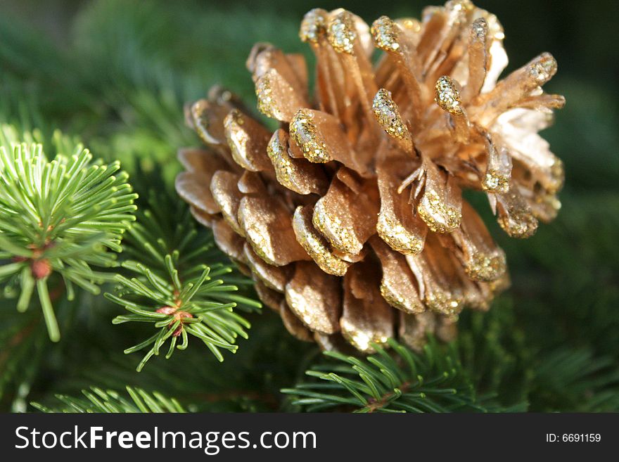 Holiday Decoration - shiny golden pinecone. Holiday Decoration - shiny golden pinecone