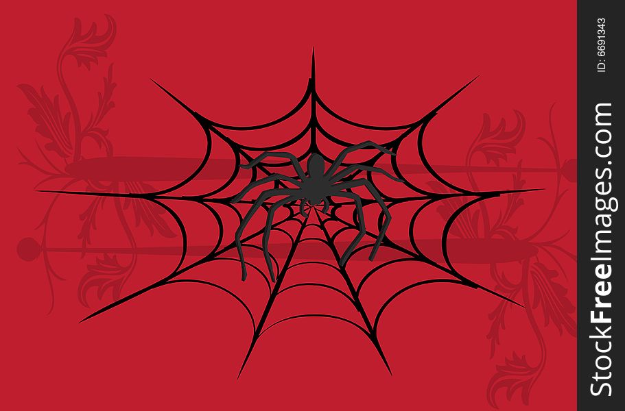 Spider illustration