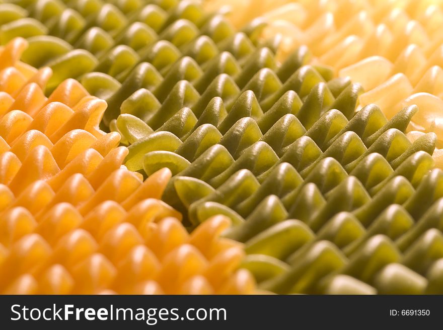 Different types of Italian pastas prepared to cook