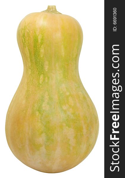 Nice big pumpkin isolated ove rwhite with clipping path