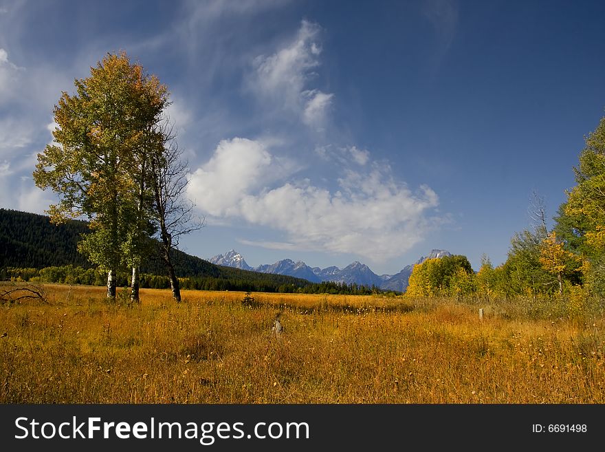 View of Mt Moran in Grand Teton National Park. View of Mt Moran in Grand Teton National Park