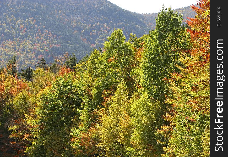 Colorful Foliage in the White Mountain, New Hampshire, US