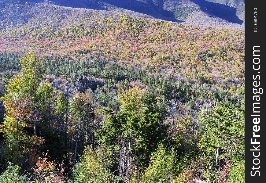 Colorful Foliage in the White Mountain, New Hampshire, US. Colorful Foliage in the White Mountain, New Hampshire, US