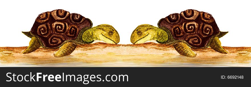 A couple of tortoise illustration. A couple of tortoise illustration